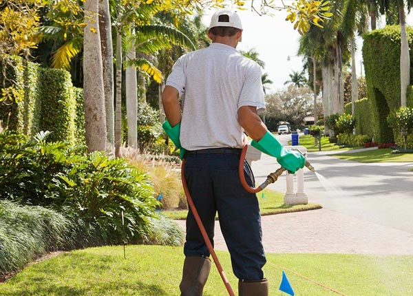 About Bloomfield Hills MI Pest Control
